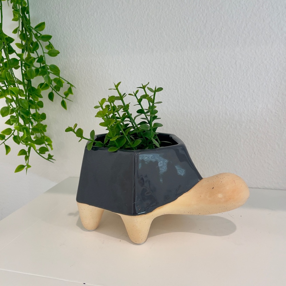 Black Turtle Planter Pot for House Plants